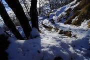 Anello Monte Zucco – Pizzo Cerro da S. Antonio Abbandonato l’11 febbraio 2016 - FOTOGALLERY